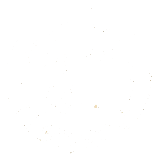 21st Century Cabinetry logo